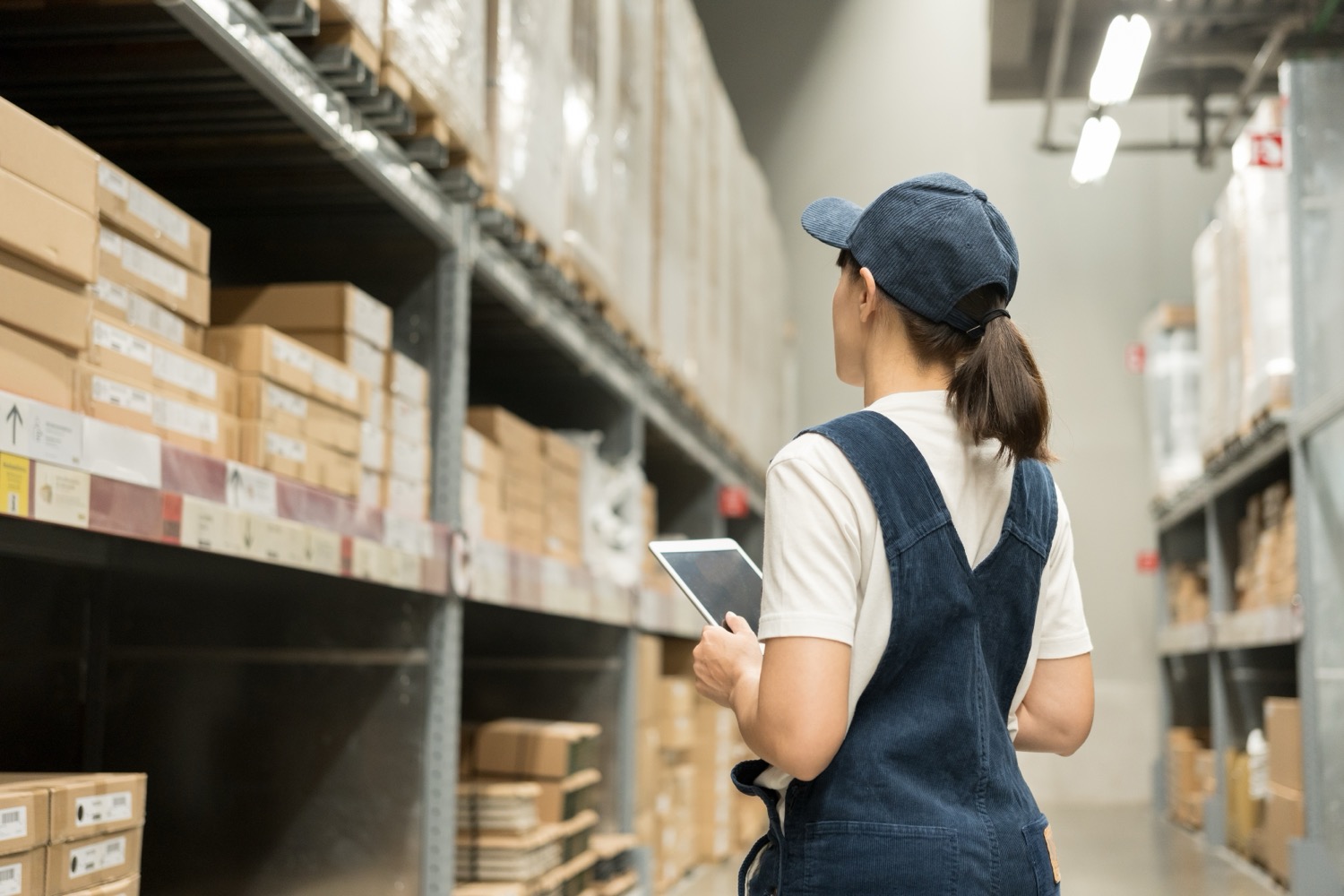 shutterstock_2558187743